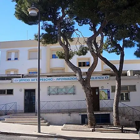 Maison Grace Panzió 4*