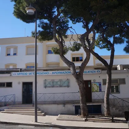 Maison Grace بيسْكيتْشّي