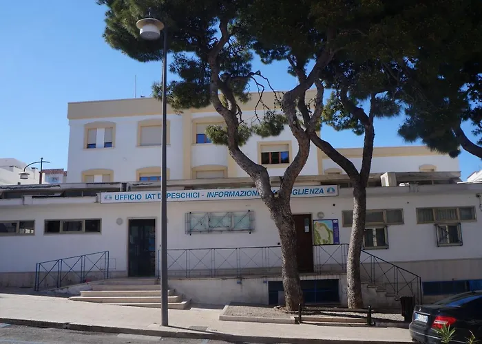 Maison Grace פסקיצ'י