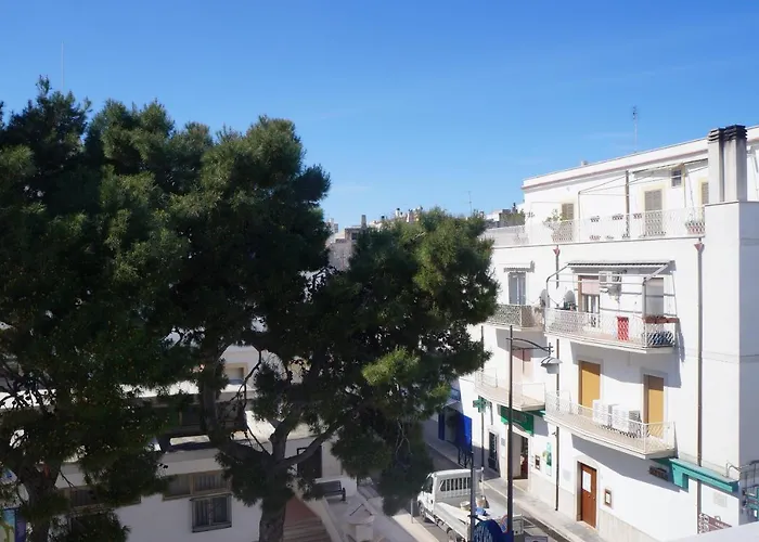 Maison Grace 4* פסקיצ'י